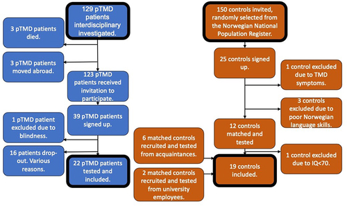 Figure 1 Flow chart of pTMD patients and healthy individuals included.