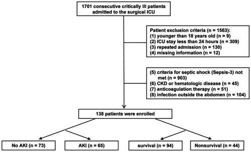 Figure 1 Flowchart of the enrolled patients.