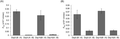 Figure 4. Evaluation of P-gp-mediated transport in canine colonoid-derived monolayers.The apparent permeability (Papp) of Rhodamine123 (A) and Doxorubicin (B), both well-established P-gp substrates, was assessed on Day 5 and Day 10. The Papp was assessed in Basolateral to Apical (B→A) and Apical to Basolateral (A→B) direction. This assessment encompassed three biological replicates, each with three technical replicates. The error bars represent the standard error of the mean (SEM).