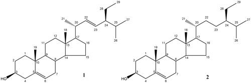 Figure 4. Structures of the isolated bioactive compounds 1 and 2 from Acanthospermum hispidum DC.