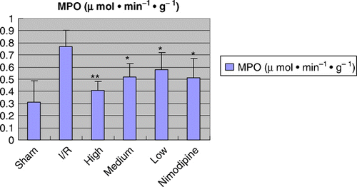 Figure 4.  Effect of polysaccharides of the Euphoria longan (Lour.) Steud on MPO activity in cerebral ischemia/reperfusion rats vs ischemia/reperfusion group: *P<0.05; **P<0.01.