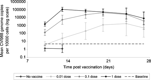 Figure 2.  Mean level of CVI988 in feather tips from groups of birds prior to challenge. The mean level of CVI988 (logarithmic scale) is shown, with 95% confidence intervals, for all birds vaccinated with the same dose of CVI988 sub-stock: black line with open symbols, non-vaccinated; light grey line, 0.01-dose vaccinated; dark grey line, 0.1-dose vaccinated; black line with closed symbols, 1-dose vaccinated. Since feather tip samples for CVI988 measurement were only taken prior to challenge, and not after challenge, the number of birds sampled decreases at later time-points. For birds receiving 0.01, 0.1 or 1 dose vaccine, n=22 to 24 at 10 and 13 d.p.v., n=14 to 16 at 17 and 20 d.p.v., and n=6 to 8 at 24 and 27 d.p.v. All non-vaccinated birds (n=8) were challenged at 14 d.p.v., so the CVI988 level was not tested after this time. The baseline for accurate measurement was 5 CVI988 genomes/10 000 cells (dashed horizontal line).