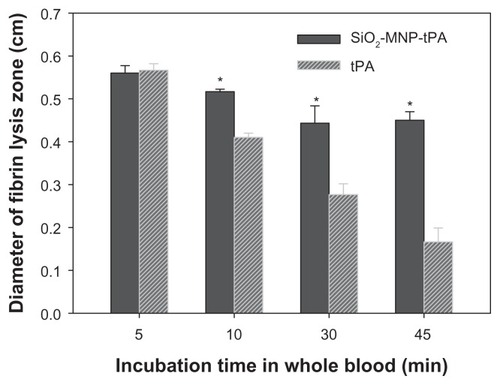Figure 10 Operation stability of tissue plasminogen activator (tPA) and tPA bound to silica-coated magnetic nanoparticles (SiO2-MNP-tPA).Notes: The residual fibrinolytic activity after incubation in blood at 37°C for time indicated was determined by fibrin clot lysis assay. *P < 0.05 compared with corresponding tPA value.