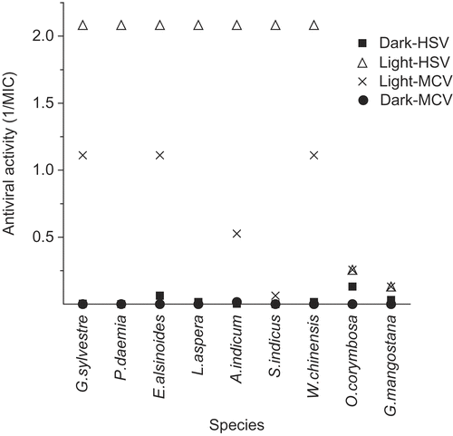 Figure 5.  Antiviral photosensitizers (virucidal protocol). MIC values were measured against HSV and MCV (virucidal protocol) both in light and in dark (details in Materials and methods section), and the results plotted as reciprocals as in Figure 1. All extracts except O. corymbosa and G. mangostana showed marked light-enhanced or light-dependent activity typical of photosensitizers.