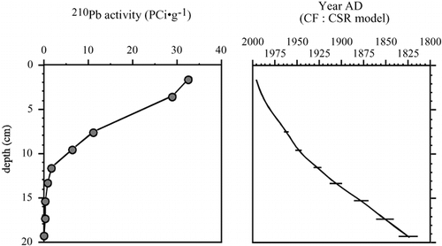 FIGURE 2. Stratigraphic plot of 210Pb activity in the sediment core from Beartooth Lake, and the age-depth model based on the CF:CSR model.