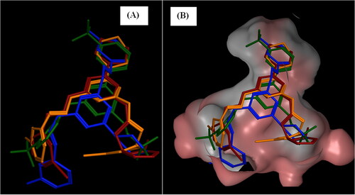 Figure 12. Alignment of compounds 6c (dark red), 6e (blue), and 7c (orange) and enasidenib (green) in the IDH2R140Q allosteric site viewing parallel layout.