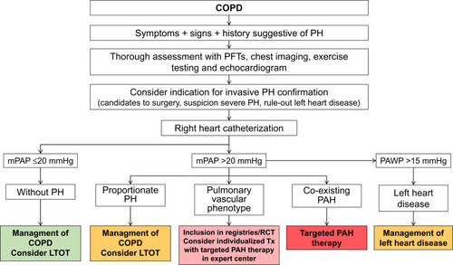 Figure 4 Diagnosis and management of pulmonary hypertension in COPD.
