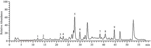 Figure 1 LC-MS chromatogram of water extract of SMYZD 1. Alatamine; 2. β-sitosterol; 3. FerulicAcid; 4. ProtocatechuicAcid; 5. Gastrodin; 6. 4-Hydroxybenzyl alcohol; 7. GinsenosideRg1; 8. Ginsenoside Re; 9. Ginsenoside Rb3.