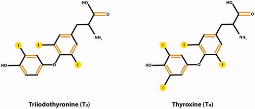 Figure 1. Chemical structure of thyroid hormones.