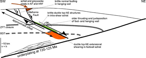 Figure 13. Tectonic interpretation for Footwall Fault, see text for explanation. Broad temperature constraints on deformation structures suggest footwall cooling during exhumation of > 200 °C; assumed 20 °C/km thermal gradient results in > 10 km throw, translating into > 20 km of displacement for 30° dipping Footwall Fault. ZFT closure, approximate closure depth for zircon fission tracks; BDT, brittle–ductile transition; KF, Kyeburn Formation; HRF, Horse Range Formation (KF and HRF part of the Momotu Supergroup).