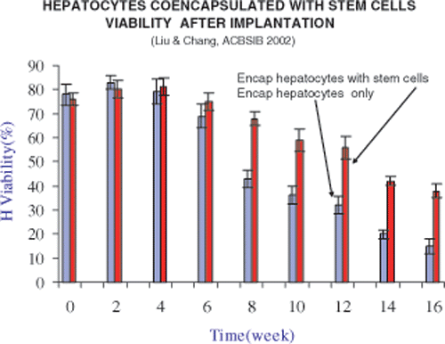 Figure 11. Experiment showing that co-encapsulation with stem cells increases the viability of hepatocytes after implantation.
