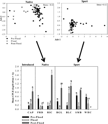 Figure 3. Nonmetric multidimensional scaling (NMS) ordinations of mean catch per unit effort (CPUE) for juvenile native and sport fishes during pre-flood (2004–2010), flood (2011), and post-flood (2012) periods in the Lewis and Clark Delta, South Dakota–Nebraska, USA. Multivariate heterogeneity is explained by changes in CPUE of individual species (bottom panel). Different letters indicate significant differences in mean CPUE among time periods for particular species. CAP = common carp; FRD = freshwater drum; RIC = river carpsucker; BGL = bluegill; BLC = black crappie; SMB = smallmouth bass; WHC = white crappie.