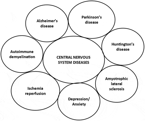 Figure 3. Common examples of central nervous system diseases.