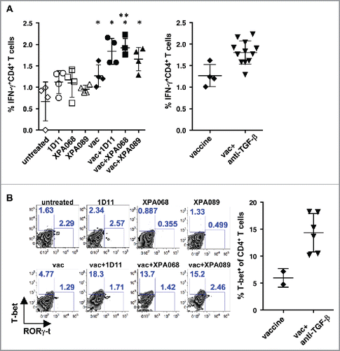 Figure 5. TGF-β blockade increased Th1 cells induced by the vaccine. A, one week after the vaccination, IFNγ production in CD4+ T cells from tumor draining lymph nodes was analyzed after PMA+ionomycin stimulation. (*p = 0.0286 vs untreated group by Mann–Whitney. p = 0.0286 vaccine alone vs vaccine + XPA068 by Mann–Whitney) In the right panel, proportions of IFNγ+CD4+ T cells of mice that received vaccine + anti-TGF-β were pooled and compared with the proportion of the cells of vaccine alone group. p = 0.0324, vaccine alone vs vaccine + anti-TGF-β. B, one week after the vaccination, T-bet and RORγ-t expression in CD4+T cells from tumor infiltrating leukocytes were analyzed. In the right panel, proportions of T-bet+CD4+ T cells of mice that received vaccine + anti-TGF-β were pooled and compared with the proportion of the cells of vaccine alone group. p = 0.025, vaccine alone vs vaccine + anti-TGF-β.