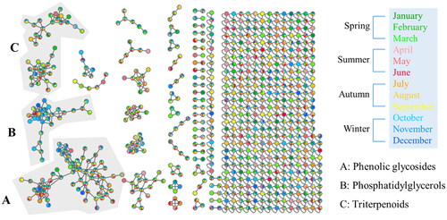 Figure 5. Molecular network of Pyrus calleryana (PC) ethanolic twig (SE) extracts from different months coloured according to month. PC-SE extracts were analysed using LC–MS/MS, and chromatograms were exported to GNPS for molecular networking. Nodes in the network are coloured according to the mean precursor ion intensity of extracts from each month. Molecular families A (phenolic glycosides), B (phosphatidylglycerols), and C (triterpenoids) are highlighted.