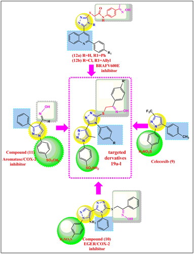 Figure 2. structural hyperdization of designed compounds from COX-2 inhibitors celecoxib (9) and anti-cancer 1,2,4 triazoles (10), (11), B-RAFV600E inhibitors (12a&b).