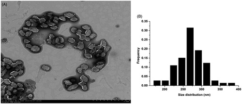 Figure 1. The morphology and size distribution histogram of ivermectin-loaded solid lipid nanoparticles (IVM-SLNs). (A) The morphology of IVM-SLNs was depicted by transmission electron microscopy (TEM). Scale bar was 2 μm. (B) Size distribution histogram was obtained by size analysis of several TEM images of particles. The mean diameter was 270.34 nm.