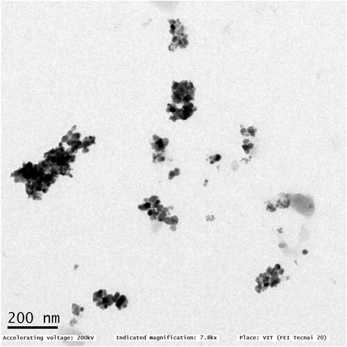 Figure 5. TEM images of copper nanoparticles.