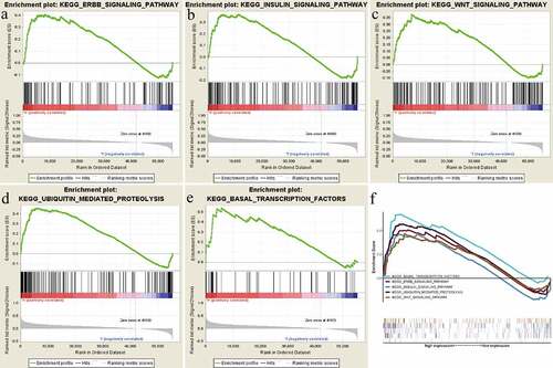 Figure 5. Gene set enrichment analysis (GSEA) results based on the RRAGB mRNA expression in COAD from TCGA dataset; (a) Significantly enriched pathway of Erbb signaling pathway; (b) Significantly enriched pathway of Insulin signaling pathway; (c) Significantly enriched pathway of Wnt signaling pathway; (d) Significantly enriched pathway of Ubiquitin mediated proteolysis; (e) Significantly enriched pathway of Basal transcription factors; (f) All of these five significantly enriched signaling pathways