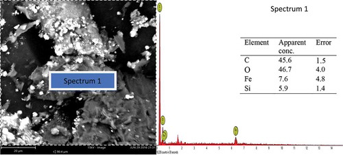 Figure 7. Representative SEM micrograph of sample A1 with EDX analysis.