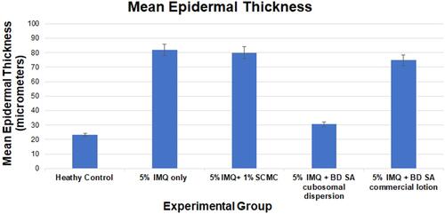 Figure 12 Average epidermal thickness in all groups at the 7th day of the experiment.