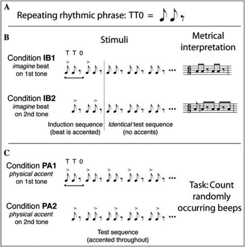 Figure 2. Reproduces (with permission from the publisher) the figure from Iversen et al. (Citation2009) that Cameron is discussing and that several members have in front of them on paper, computer, and tablet. It lays out the 4 stimuli conditions, which were made from a repeating rhythmic phrase with two accent patterns: first tone and second tone accent, and two conditions for perceiving these patterns: imagined and physical.