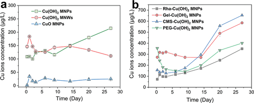 Figure 4. Cu2+ release kinetic profiles of different Cu-based NPs. (a) Cu2+ release profiles of Cu(OH)2 NPs, Cu(OH)2 NWs, and CuO NPs; (b) Cu2+ release profiles of rha, gel, CMS, and PEG-coated Cu(OH)2 NPs.