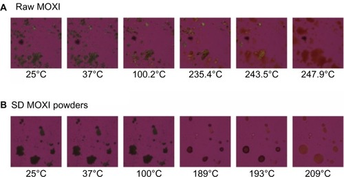 Figure 9 Representative HSM micrographs for MOXI hydrochloride supplied by the manufacturer versus SD MOXI powders.Notes: (A) Raw MOXI; (B) SD MOXI.Abbreviations: MOXI, moxifloxacin; SD, spray-dried; HSM, hot-stage microscopy.