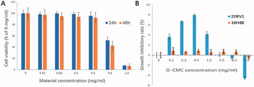 Figure 7. In vitro bio-safety of NDs. (A) Effect of materials used for NDs construction on 22RV1 cell viability was evaluated by CCK-8 cytotoxicity assay. (B) Growth inhibitory effect of O-CMC on 22RV1 cells was assessed by CCK-8 assay, non-tumor 16HBE cells used as negative control.