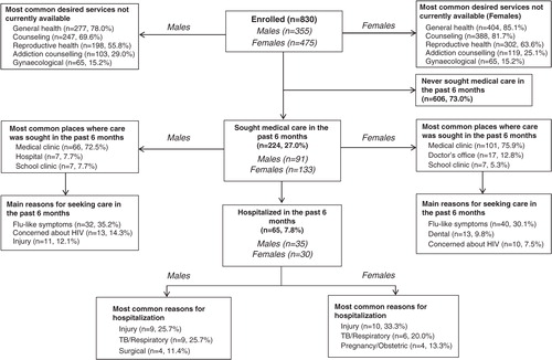 Fig. 1 Flow chart of health-seeking behaviour and reasons among adolescents in Soweto, South Africa.