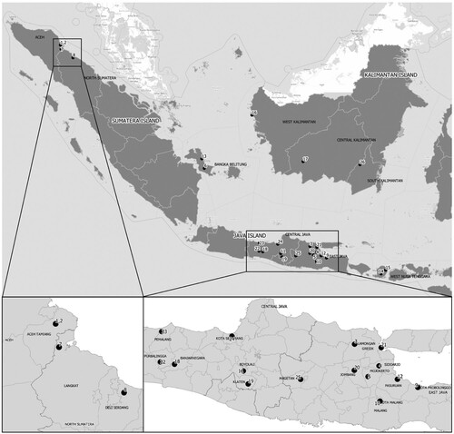 Figure 1. Distribution of samples collected from Java, Sumatera, Kalimantan and West Nusa Tenggara for foot and mouth virus characterization. Numbers represent the sequence of collection dates that are in the same order as ID number in Table 1. Dots represent village-based centroid where samples were collected from FMD cases in livestock. A zoom-in of FMD case locations in Aceh and North Sumatera provinces and in Java is indicated in the bottom box.