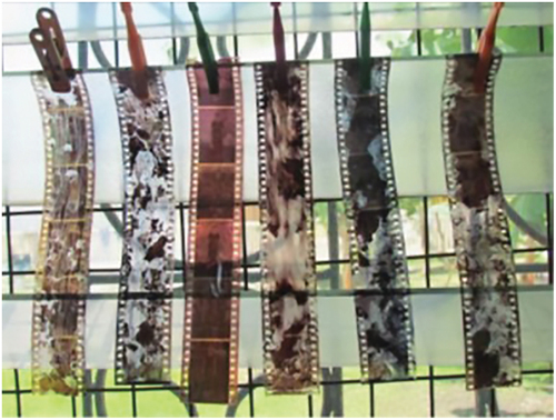 Figure 2. Photograph of negative films subjected to corrosive chemicals.