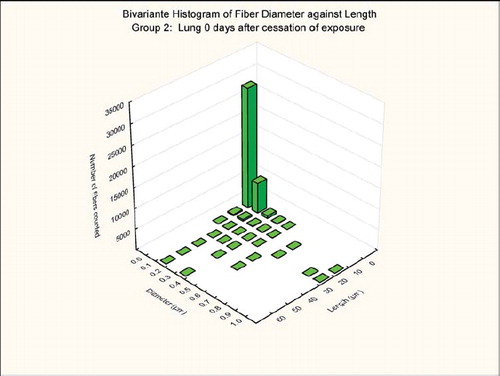 FIG. 7  Group 2, chrysotile, bivariate length and diameter distribution measured of fibers recovered from the rat's lungs immediately after cessation of the 5-day exposure.