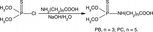 Figure 1.  Synthetic route of haptens (PB and PC).