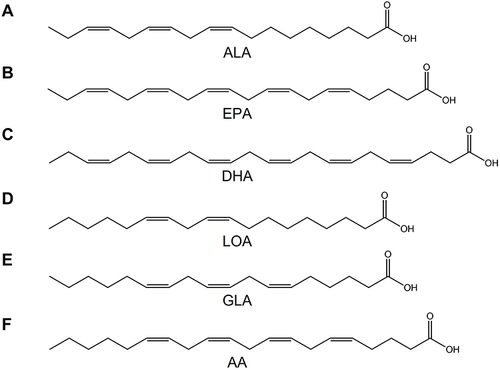 Figure 1 Chemical structure of EFAs. (A) ALA, α-linolenic acid. (B) EPA, eicosapentaenoic acid. (C) DHA, docosahexaenoic acid. (D) LOA, linoleic acid. (E) GLA, γ-linolenic acid. (F) AA, arachidonic acid.