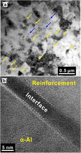 Figure 8. TEM microstructure of the hot-extruded composite from 30 h milled composite powders. (a) Bright-field TEM image. The yellow arrows indicate the presence of MGMC nanoparticles, and the blue arrows indicate the MgZn2 precipitates. (b) The interface between the α-Al matrix and the MGMC particle, which is clean and devoid of any undesirable products.