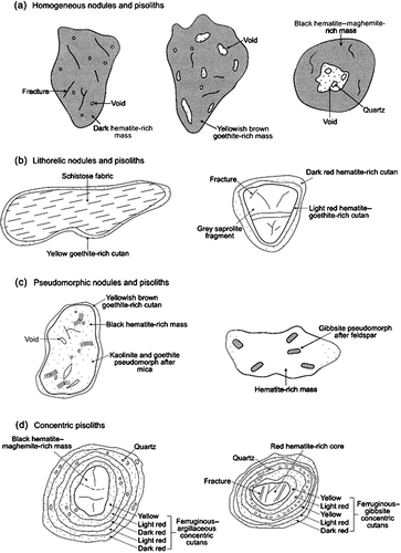 Figure 11 Classification of ferruginous nodules and pisoliths from the Yilgarn Craton (from Anand & Paine Citation2002 figure 67).