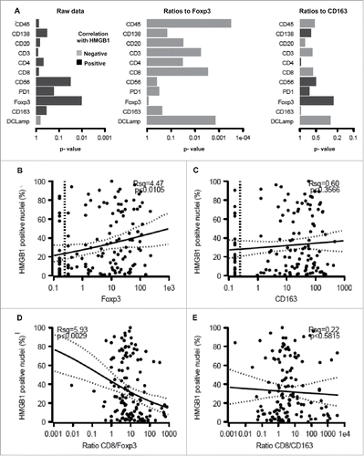 Figure 6. Correlation between HMGB1 expression by melanoma cells and the immune infiltrate. The overall correlation between HMGB1 expression and individual immune parameters or the calculated ratios is shown (A). Also are shown the impact of HMGB1 expression on the infiltration by FOXP3+ T lymphocytes (B), CD163+ macrophages (C), the ratio of CD8+/FOXP3+ cells (D) and the ratio of CD8+/CD163+ cells (E).