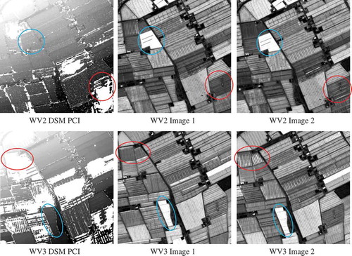 Figure 5. Influence of glint effect over greenhouse plastic cover in relation to DSM completeness at GH2 subarea (600 m x 600 m). WV2 DSM produced by PCI and the original PAN images from WV2 stereo pair are shown in the first row. WV3 DSM produced by PCI and the original PAN images from WV3 stereo pair are shown in the second row. Blue ellipses mark greenhouses painted white and red ellipses highlight greenhouses presenting glint changes.