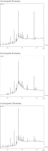 Figure 1. (a)–(c) Showing GC–MS chromatograph of leaf-grade tea type at different extraction times