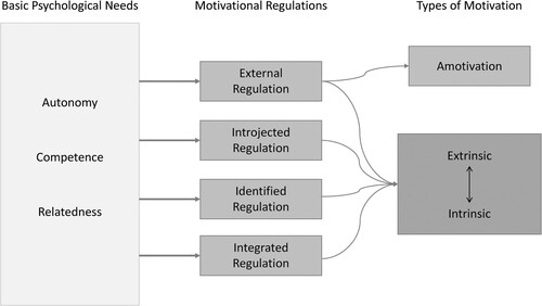Figure 1. Analytical framework derived from S.D.T.