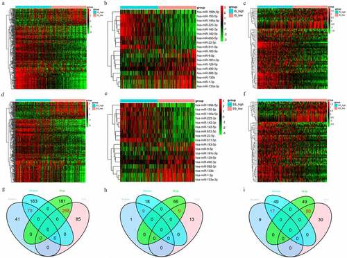 Figure 2. (a-c) Heatmaps of DEGs, DEMs and DELs in the high vs. low immune score groups. (d-f) Heatmaps of DEGs, DEMs and DELs in the high vs. low stromal score groups. Green represents high expression, and red represents low expression. (g-i) Venn diagrams showing the number of DEGs, DEMs and DELs common to the immune and stromal score groups