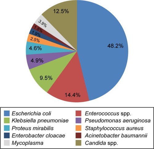 Figure 1 Most common pathogens detected in cUTI patients.