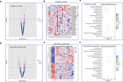 Figure 3. Differential expression analysis of miRnas in extreme clopidogrel response LDP samples. The volcano plots (a) and cluster analysis (b) of differentially expressed miRnas (11 VHTPR vs 11 VLTPR). KEGG enrichment analysis (c) of the candidate target genes of the differentially expressed miRnas (11 VHTPR vs 11 VLTPR). The volcano plots (d) and cluster analysis (e) of differentially expressed miRnas (3 EM VHTPR vs 10 EM VLTPR). KEGG enrichment analysis (f) of the candidate target genes of the differentially expressed miRnas (3 EM VHTPR vs 10 EM VLTPR).