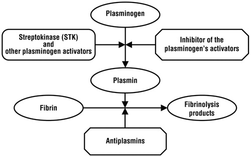 Figure 1. Synoptic representation of fibrinolysis.