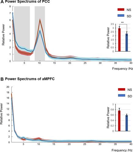 Figure 2 Power spectrums of PCC (A) and aMPFC (B) after nocturnal sleep (NS) and sleep deprivation (SD). The red line represented NS condition, the blue line for SD, and the light blue and red shadows meant for standard errors. There were significant differences in the grey-shaded parts (two-tail paired sample t-tests, p < 0.05, FDR-corrected). The embedded histogram showed the power differences between aMPFC and PCC in the α band (8–13 Hz). **p < 0.05.Abbreviations: NS, nocturnal sleep; SD, sleep deprivation.