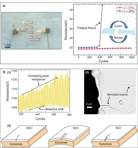 Figure 7. Fatigue failure mechanisms. (a) resistance changes of serpentine interconnects under cyclic loading with different tensile strains. Adapted with permission. Copyright 2021, Wiley-VCH Verlag [Citation264]. (b) resistance change of flexible NiCr-based strain gauges under cyclic bending deformation. (1) resistance response illustrates an upward shift in the baseline correlating with increased peak resistance; (2) SEM images of cracks in an unconstrained position; (3) schematic illustration for the evolution of cracks, starting from initial unconstrained state, proceeding through opening during bending, and culminating in a state of partial closure after stress relief. Adapted with permission. Copyright 2022, Elsevier BV [Citation265].