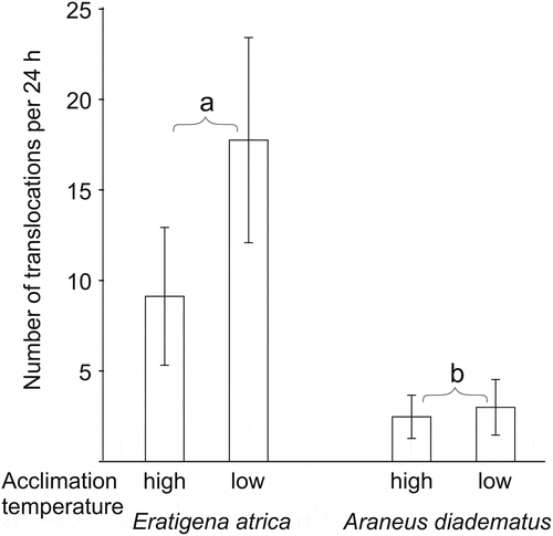Figure 4. Mean number of translocations between different temperature zones exhibited during 24 h of exposure by the two spider species acclimated to low (14°C) or high (23°C) temperature conditions. Different letters indicate significant differences in number of translocations (GLM). Error bars indicate standard deviations
