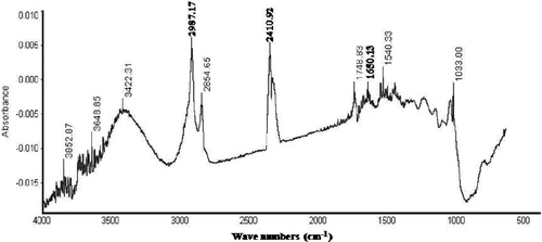 Figure 5. Fourier transform infrared spectroscopy analysis of copper nanoparticles.
