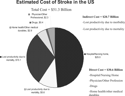 Figure 3 The estimated cost of stroke in the United States (CitationAHA 2000).